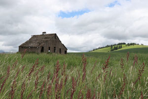 IMG_1430 copy
