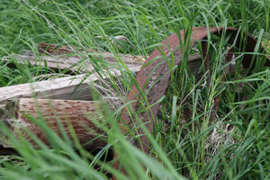 IMG_1546 copy