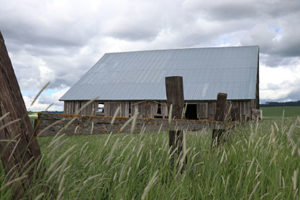 IMG_1553 copy