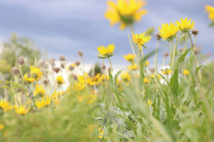IMG_1574 copy