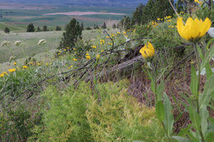 IMG_1601 copy