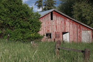 IMG_1682 copy