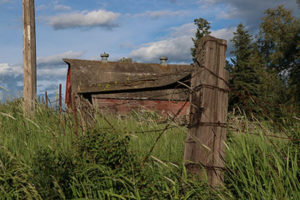 IMG_1700 copy