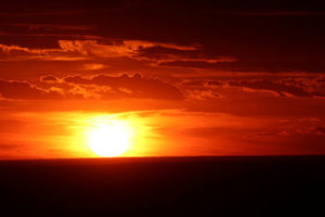 IMG_1789 copy